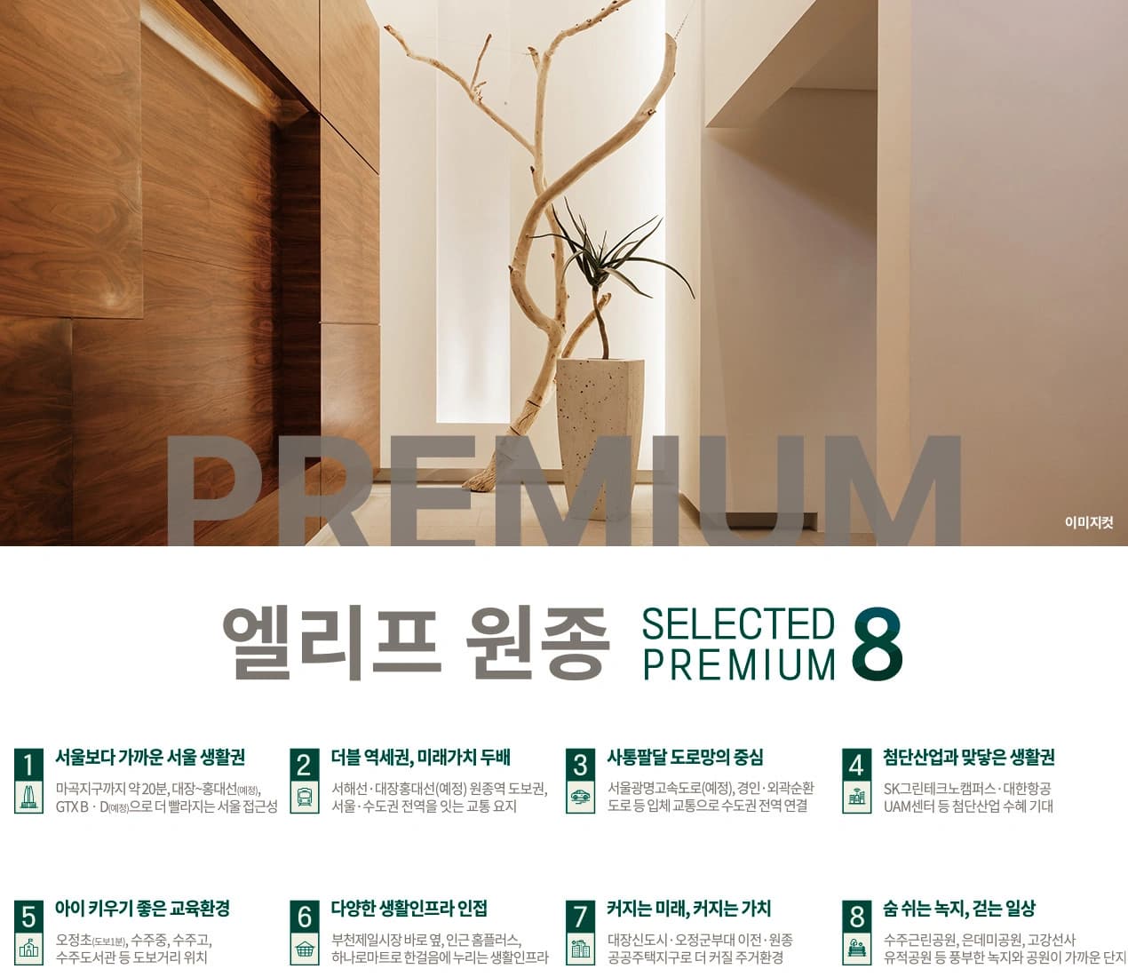 엘리프원종 상세 이미지