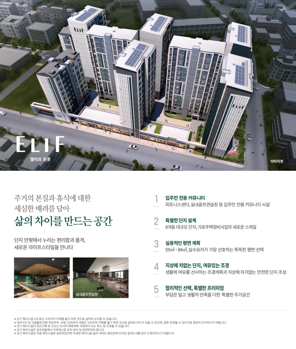 엘리프원종 상세 이미지