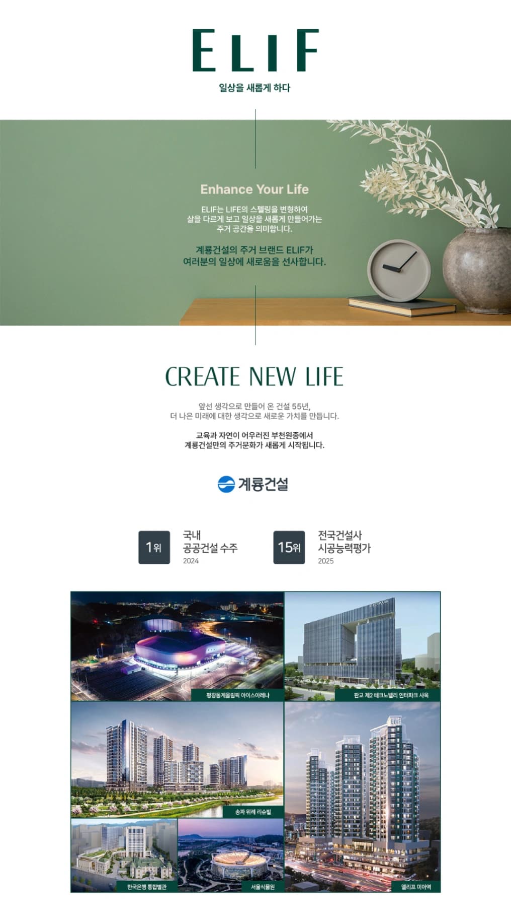 엘리프원종 상세 이미지